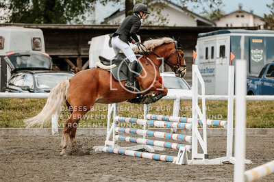 © Niki Buchegger, turnier-fotos.at