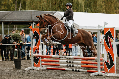 © Niki Buchegger, turnier-fotos.at