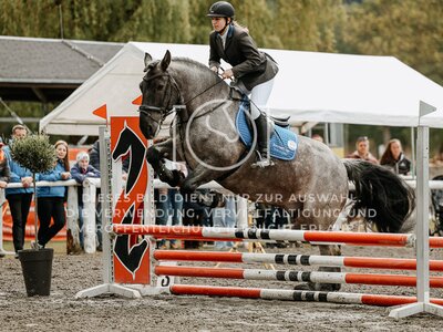 © Niki Buchegger, turnier-fotos.at