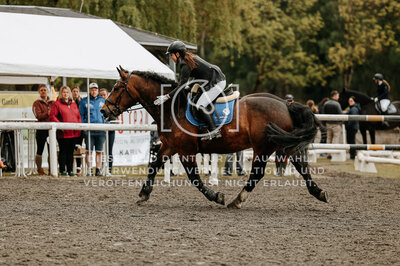 © Niki Buchegger, turnier-fotos.at