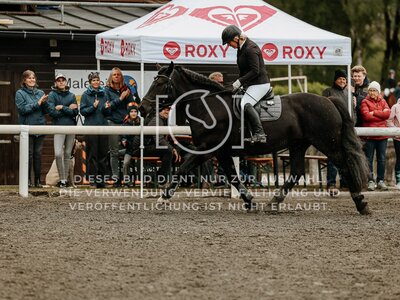 © Niki Buchegger, turnier-fotos.at