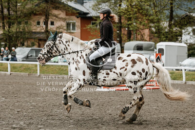 © Niki Buchegger, turnier-fotos.at