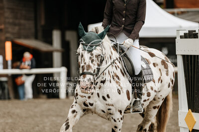 © Niki Buchegger, turnier-fotos.at