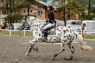 © Niki Buchegger, turnier-fotos.at