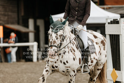 © Niki Buchegger, turnier-fotos.at