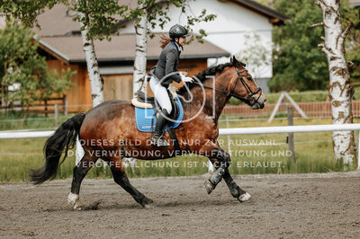 © Niki Buchegger, turnier-fotos.at