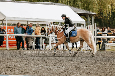 © Niki Buchegger, turnier-fotos.at