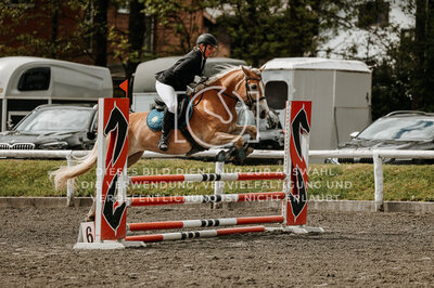 © Niki Buchegger, turnier-fotos.at