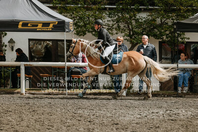 © Niki Buchegger, turnier-fotos.at