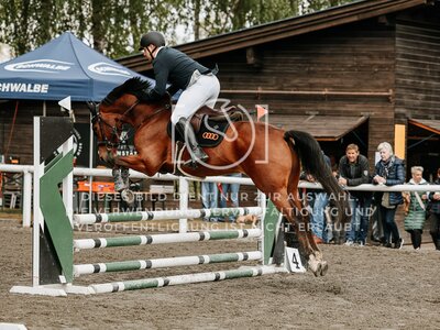 © Niki Buchegger, turnier-fotos.at