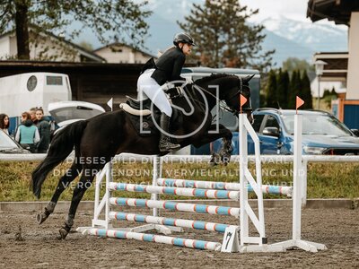 © Niki Buchegger, turnier-fotos.at