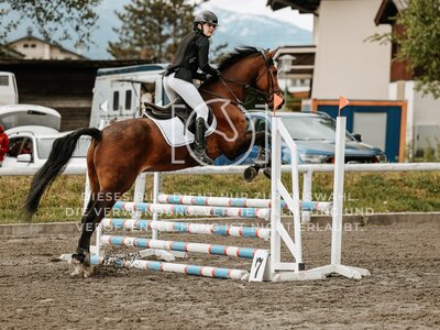 © Niki Buchegger, turnier-fotos.at