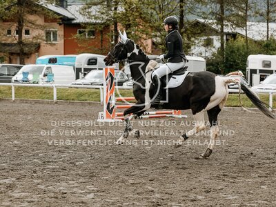 © Niki Buchegger, turnier-fotos.at