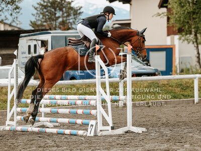 © Niki Buchegger, turnier-fotos.at