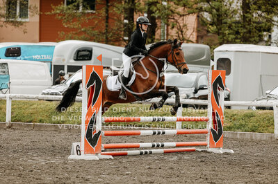 © Niki Buchegger, turnier-fotos.at