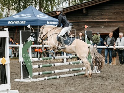 © Niki Buchegger, turnier-fotos.at