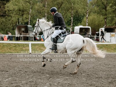 © Niki Buchegger, turnier-fotos.at