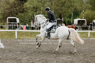 © Niki Buchegger, turnier-fotos.at