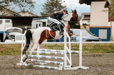 © Niki Buchegger, turnier-fotos.at