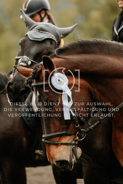 © Niki Buchegger, turnier-fotos.at