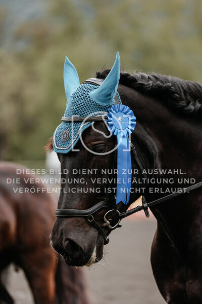 © Niki Buchegger, turnier-fotos.at