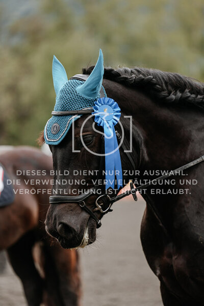 © Niki Buchegger, turnier-fotos.at
