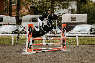 © Niki Buchegger, turnier-fotos.at