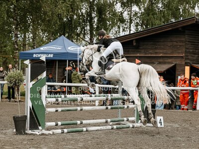© Niki Buchegger, turnier-fotos.at