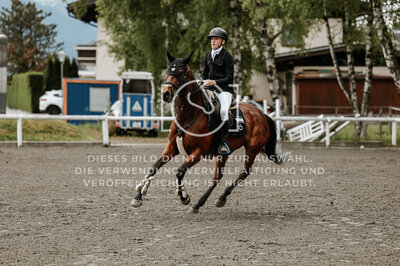 © Niki Buchegger, turnier-fotos.at