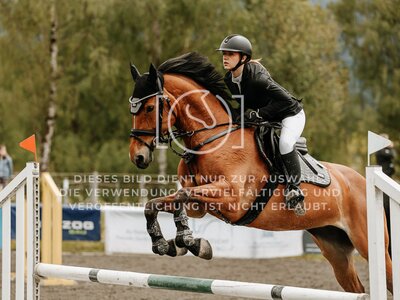 © Niki Buchegger, turnier-fotos.at