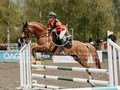 © Niki Buchegger, turnier-fotos.at