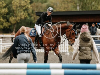 © Niki Buchegger, turnier-fotos.at