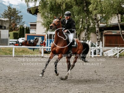 © Niki Buchegger, turnier-fotos.at