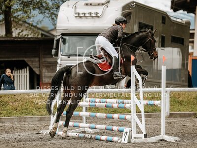 © Niki Buchegger, turnier-fotos.at