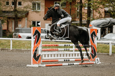 © Niki Buchegger, turnier-fotos.at