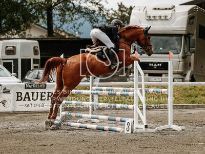 © Niki Buchegger, turnier-fotos.at