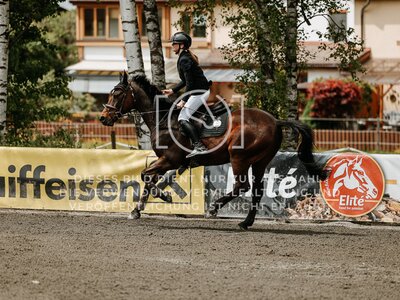 © Niki Buchegger, turnier-fotos.at