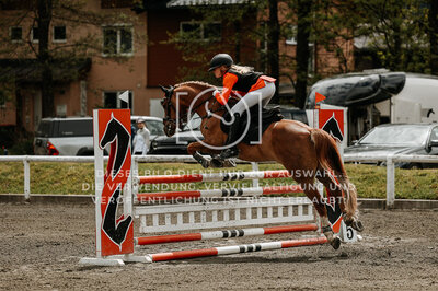 © Niki Buchegger, turnier-fotos.at