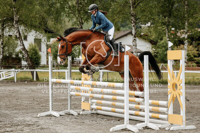© Niki Buchegger, turnier-fotos.at