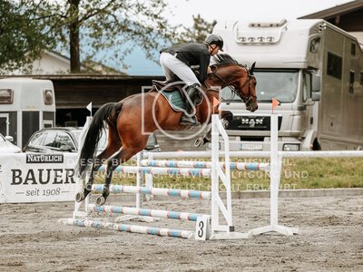 © Niki Buchegger, turnier-fotos.at