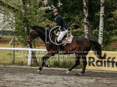 © Niki Buchegger, turnier-fotos.at