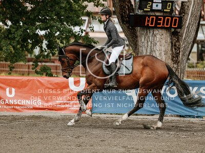 © Niki Buchegger, turnier-fotos.at