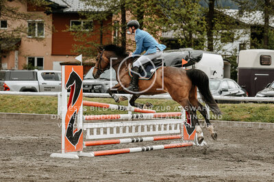 © Niki Buchegger, turnier-fotos.at