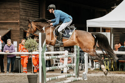 © Niki Buchegger, turnier-fotos.at