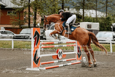 © Niki Buchegger, turnier-fotos.at