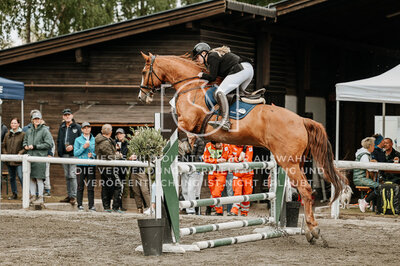 © Niki Buchegger, turnier-fotos.at