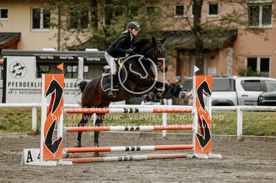 © Niki Buchegger, turnier-fotos.at