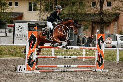 © Niki Buchegger, turnier-fotos.at
