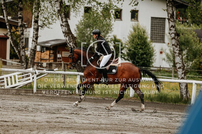 © Niki Buchegger, turnier-fotos.at