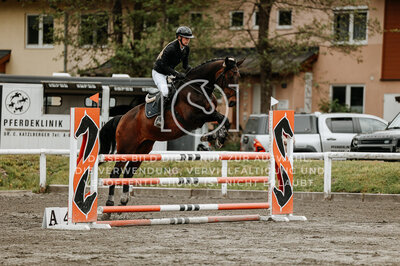 © Niki Buchegger, turnier-fotos.at